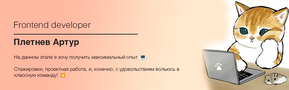 Frontend Developer Banner
